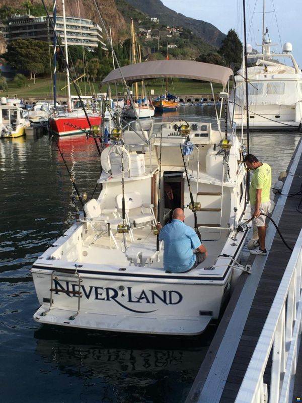 Bertram 28