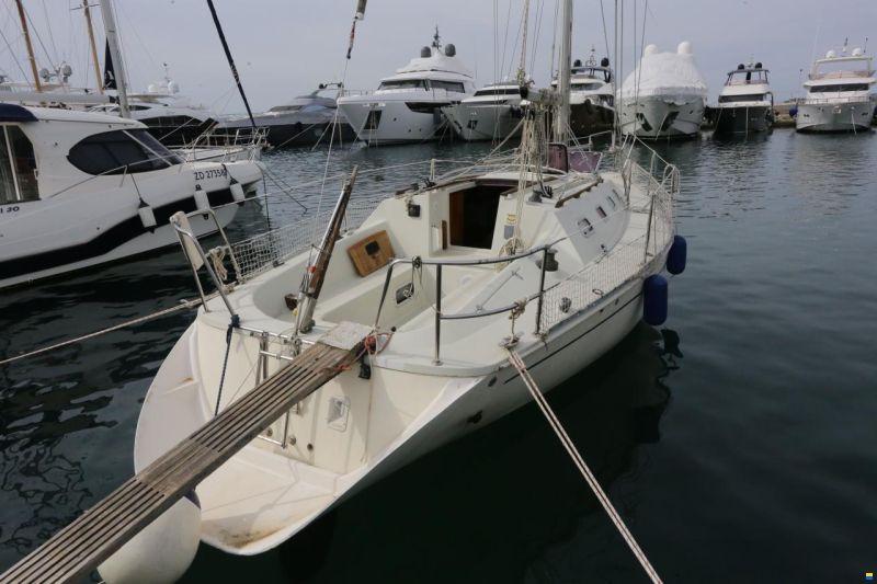 Elan 31S