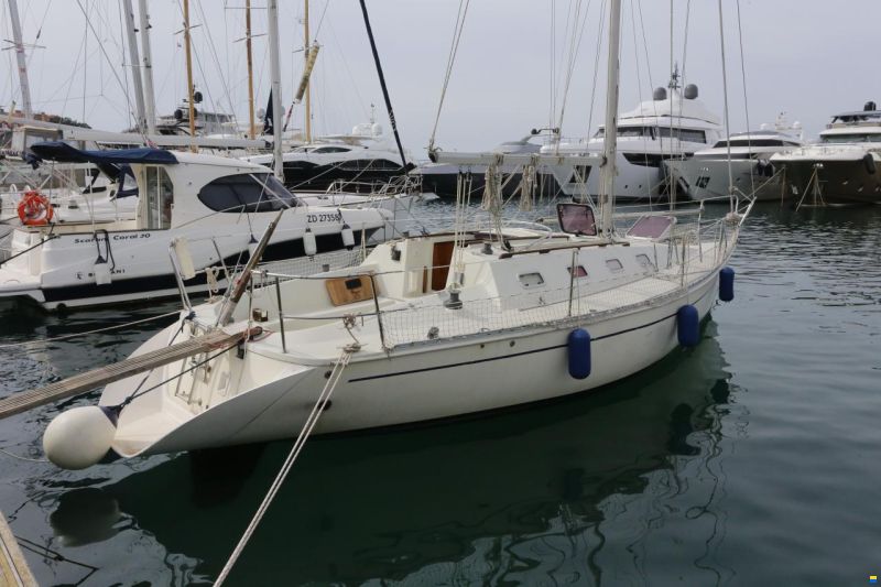 Elan 31S