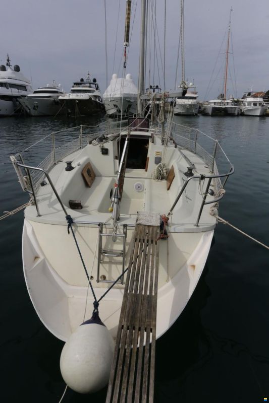 Elan 31S