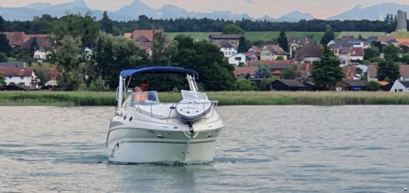 Sea Ray 260 DA