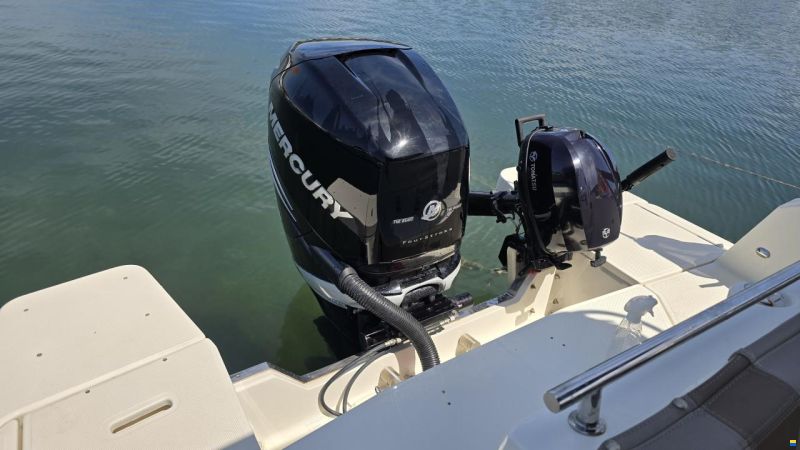 Quicksilver 805 Cruiser