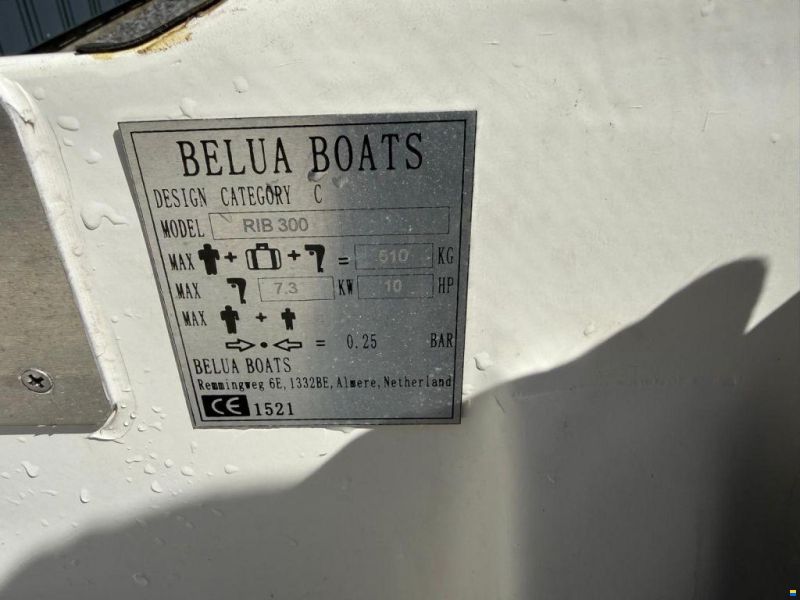 RIB 300
