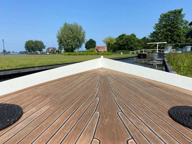 Kokmeeuw 24