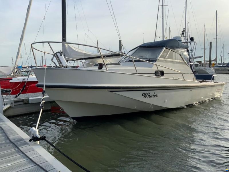 Boston Whaler Revenge 25 Walk Around