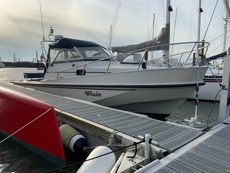Boston Whaler Revenge 25 Walk Around