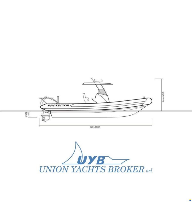 Rayglass Protector 310 Chase