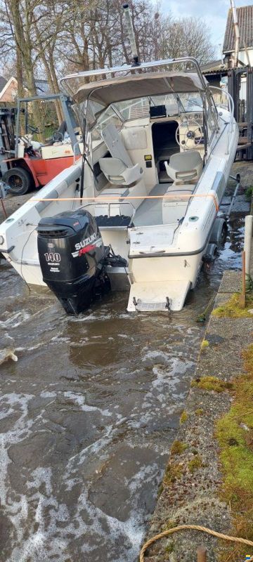 Campion Explorer 542