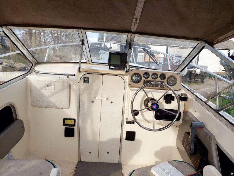 Campion Explorer 542