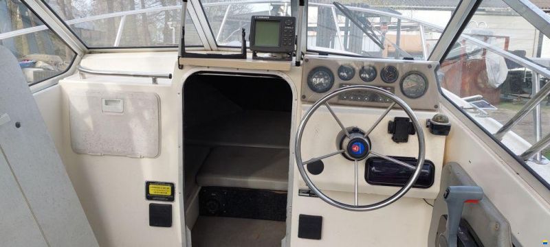 Campion Explorer 542