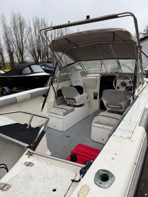 Campion Explorer 542