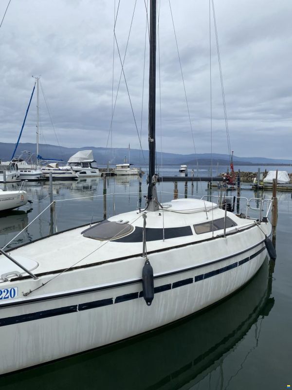 1983 Albatros Condor 70, CHF 6.000,