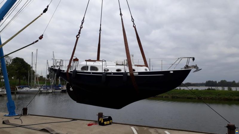 Moerman 29
