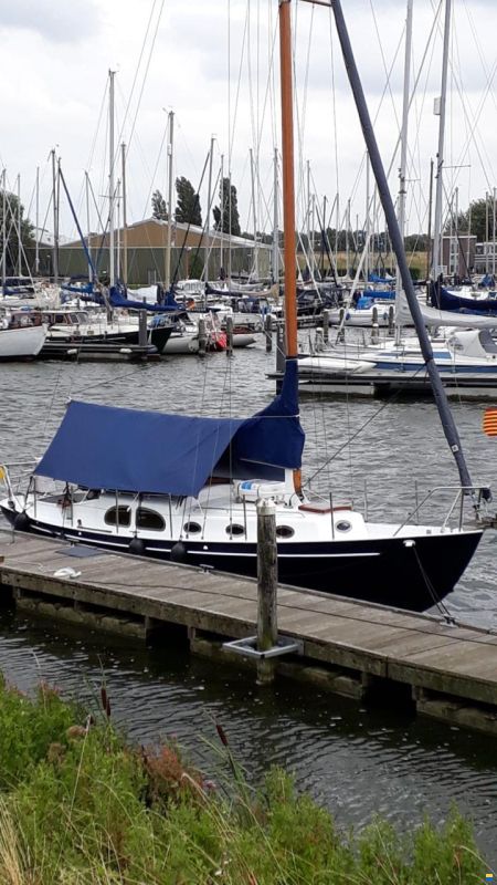 Moerman 29