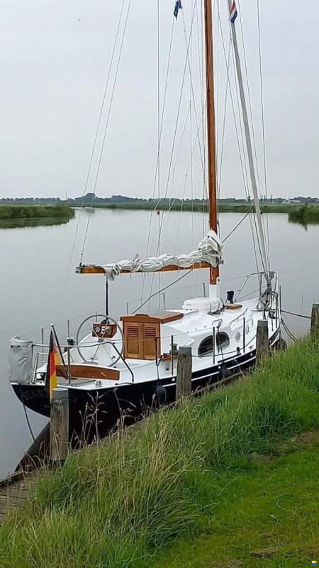 Moerman 29