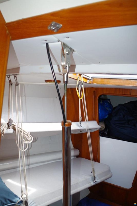 Hylas 51 Ocean Race