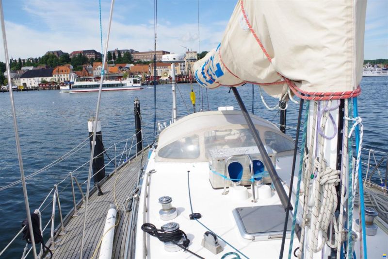Hylas 51 Ocean Race