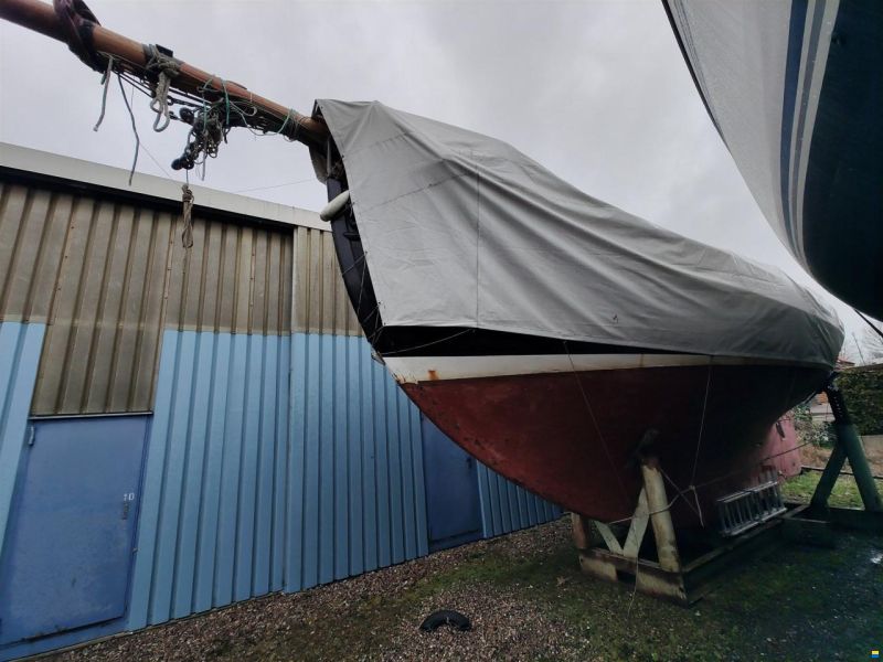 Hatecke Colin Archer