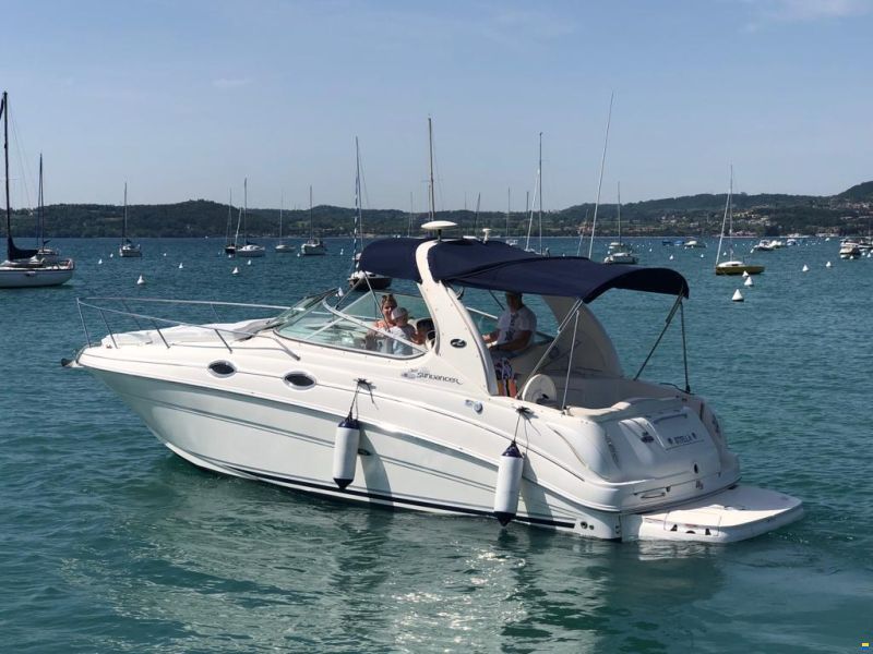 Sea Ray 315 Sundancer
