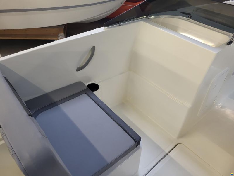 Bayliner M19