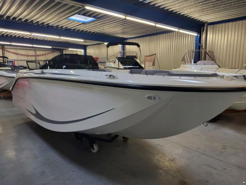 Bayliner M19