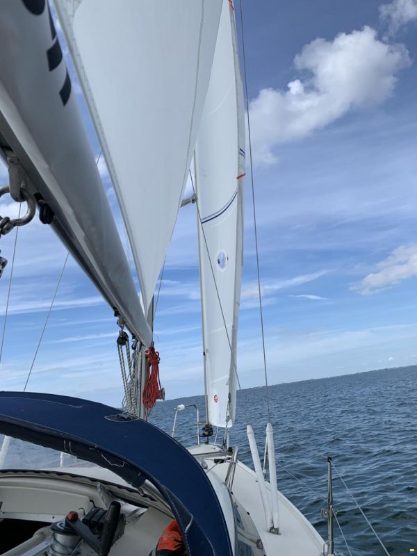 Maxi Fenix 28