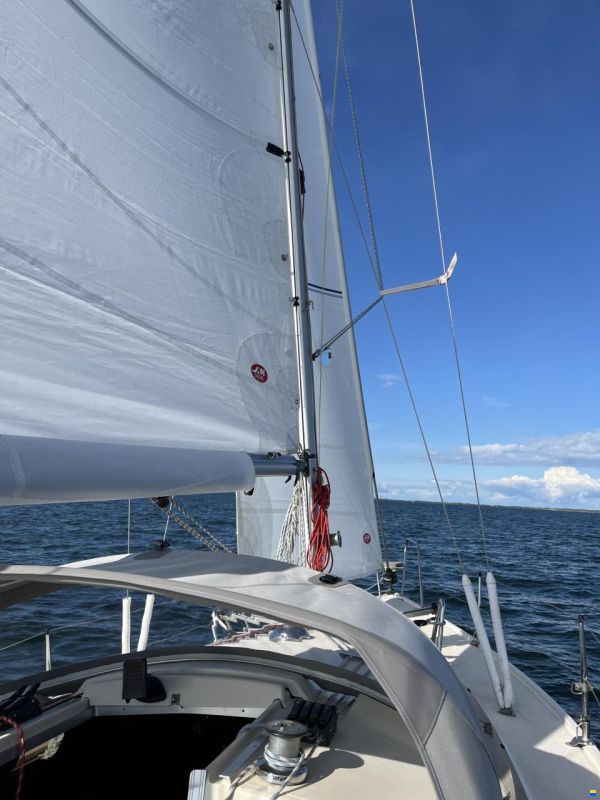 Maxi Fenix 28