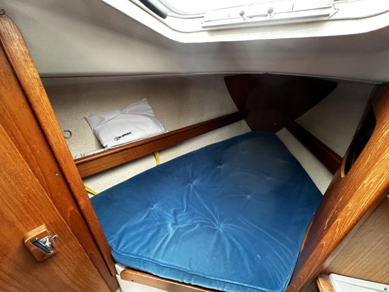 Maxi Fenix 28