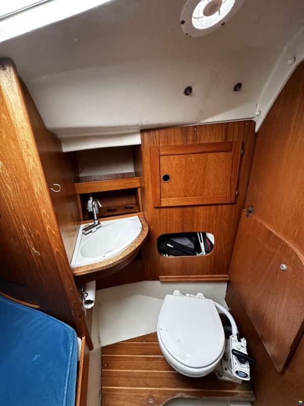 Maxi Fenix 28