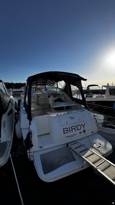 Sea Ray 270/280 Sundancer