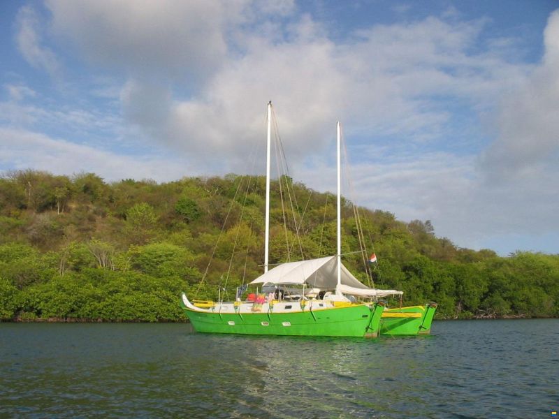 Wharram Catamarans Tangaroa image