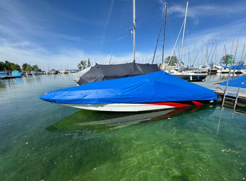 Seebold Eagle Silver 265