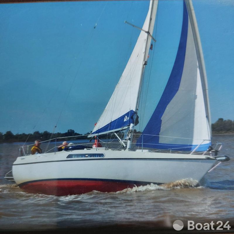 Hallberg-Rassy HR 26