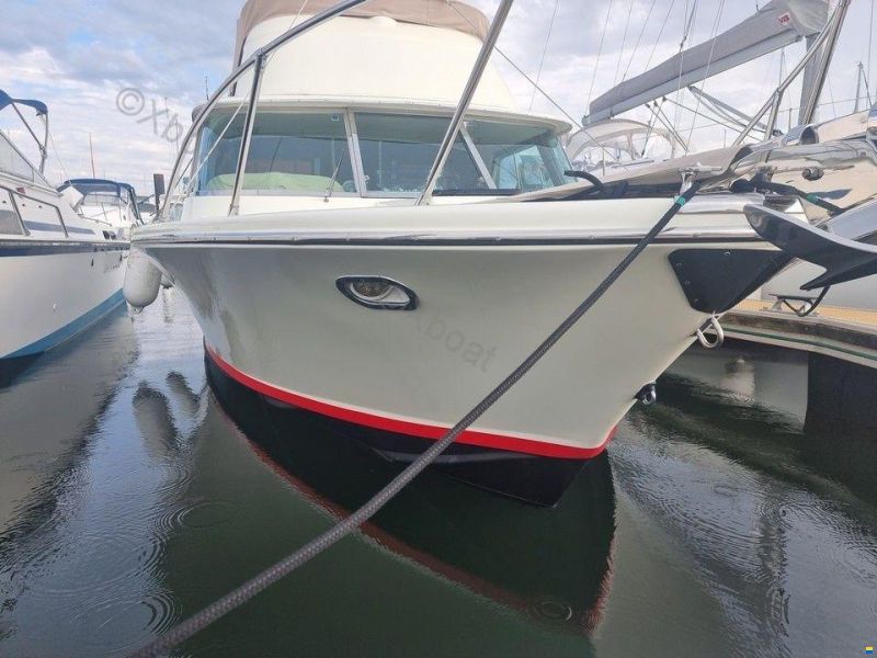 RIVA BERTRAM 25 SPORT FISHERMAN