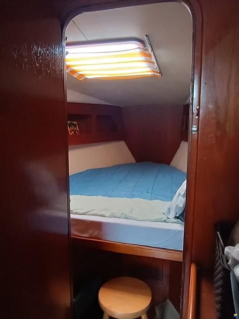 Furia 392