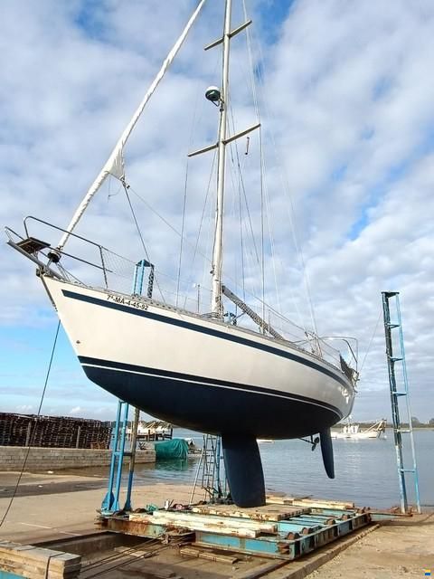 Furia 392