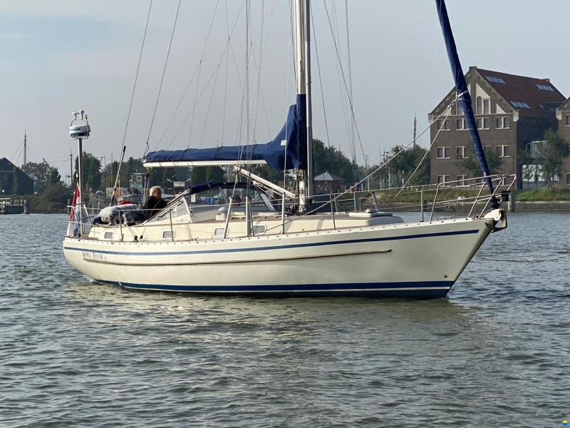 Forgus Yacht 36 image