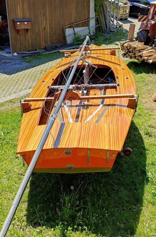 Wuillemin Kielzugvogel