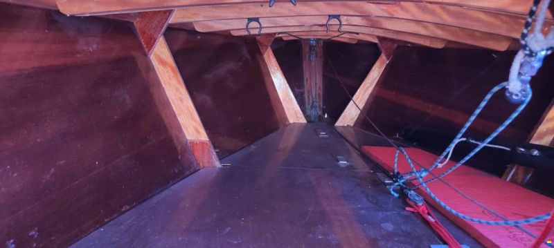 Wuillemin Kielzugvogel