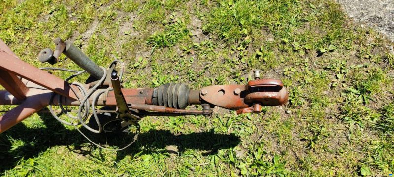 Wuillemin Kielzugvogel