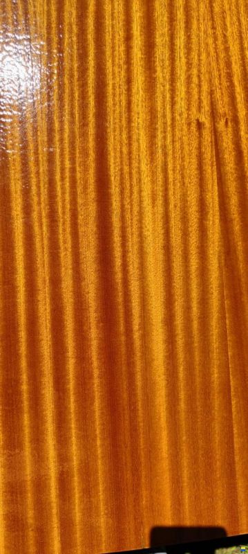 Wuillemin Kielzugvogel