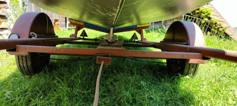 Wuillemin Kielzugvogel