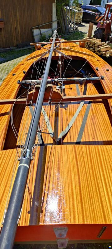 Wuillemin Kielzugvogel