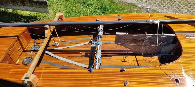 Wuillemin Kielzugvogel