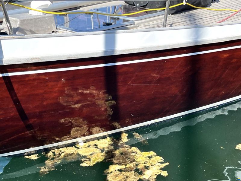 12m Mahagoni Segelyacht
