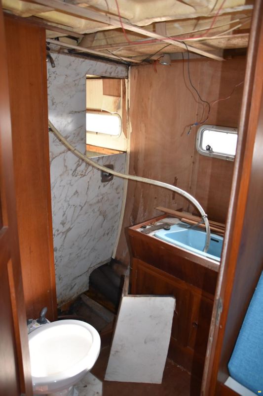 Broom Ocean 40