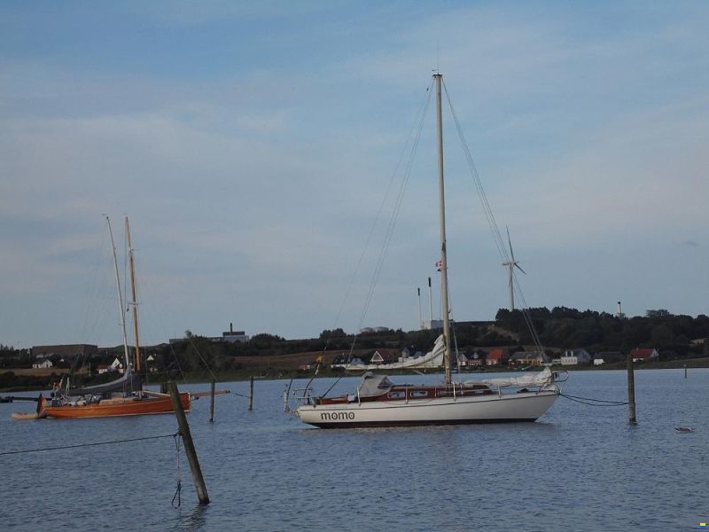 Vindö 40