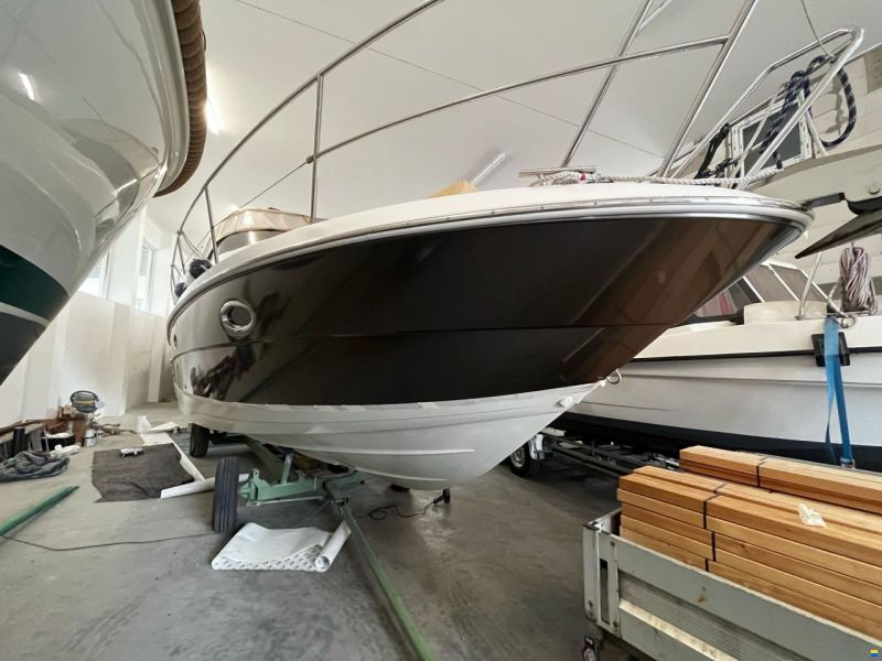 Bavaria Sport 29