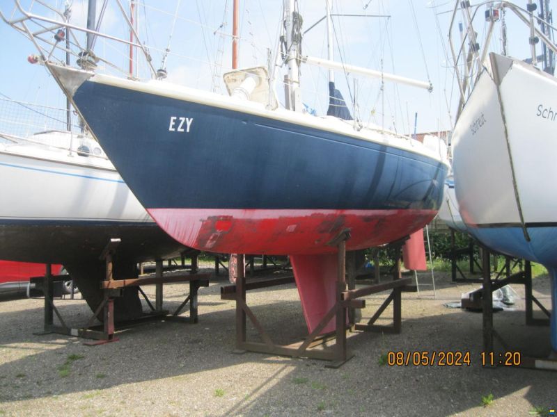 Koopmans 31 Nova (project) image