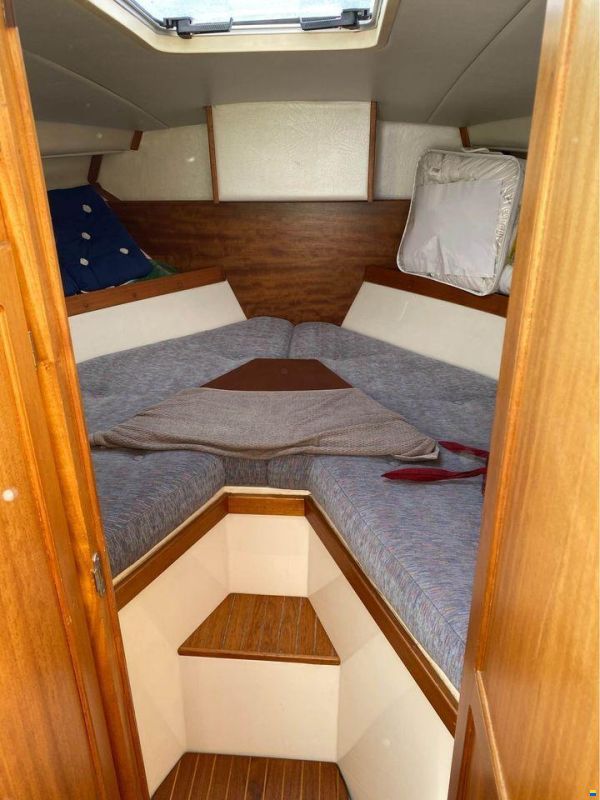 Nemo 26